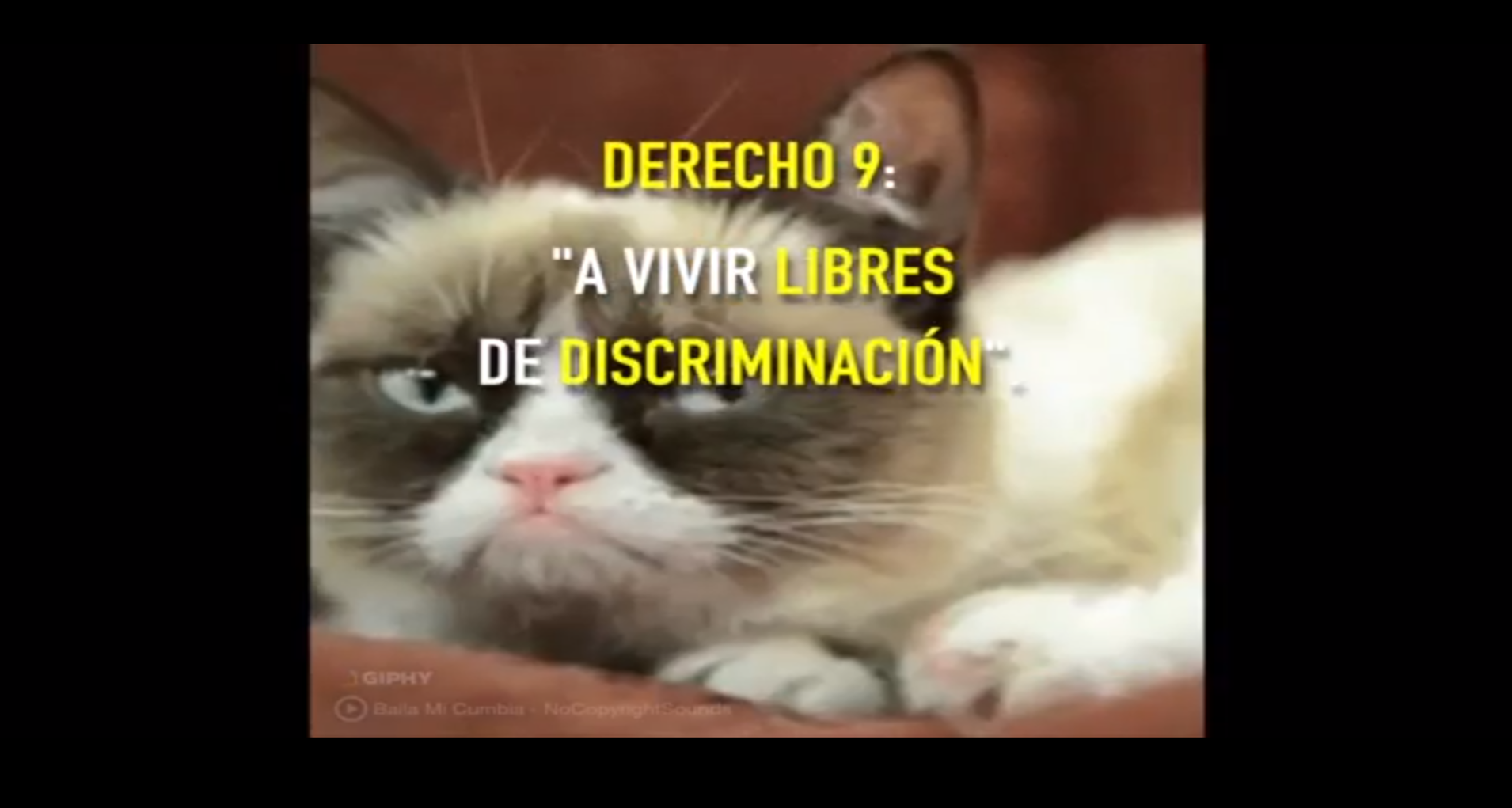 Derechos Sexuales de Adolescentes y Jóvenes .....Derecho 9.....